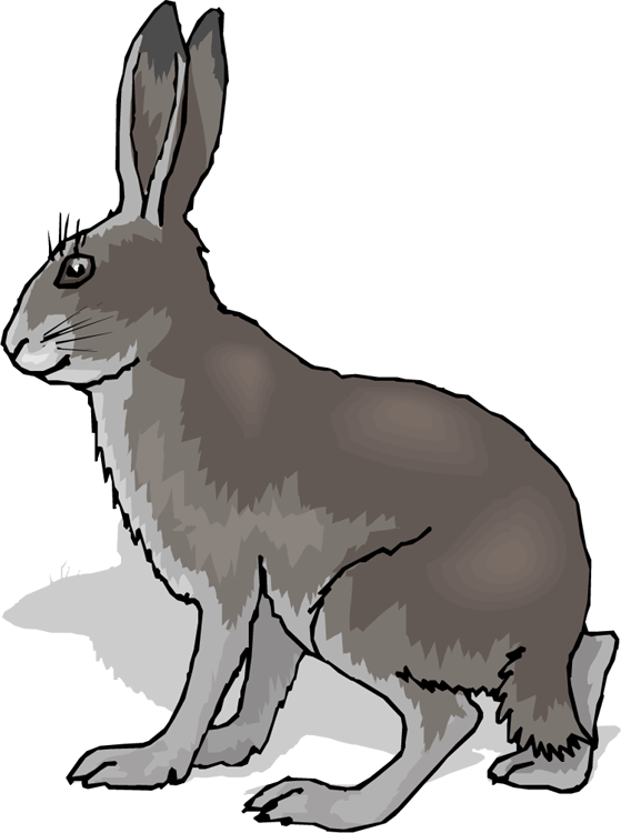 Clip Art (559x750)