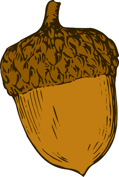 Acorn Clipart Simple - Acorn Clip Art .png (402x595)