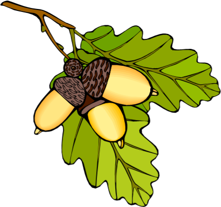 Eichenblatt Symbol (450x422)