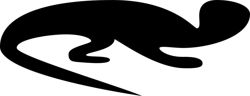 Lizard Facing Right Comments - Lizard Facing Right Comments (980x378)