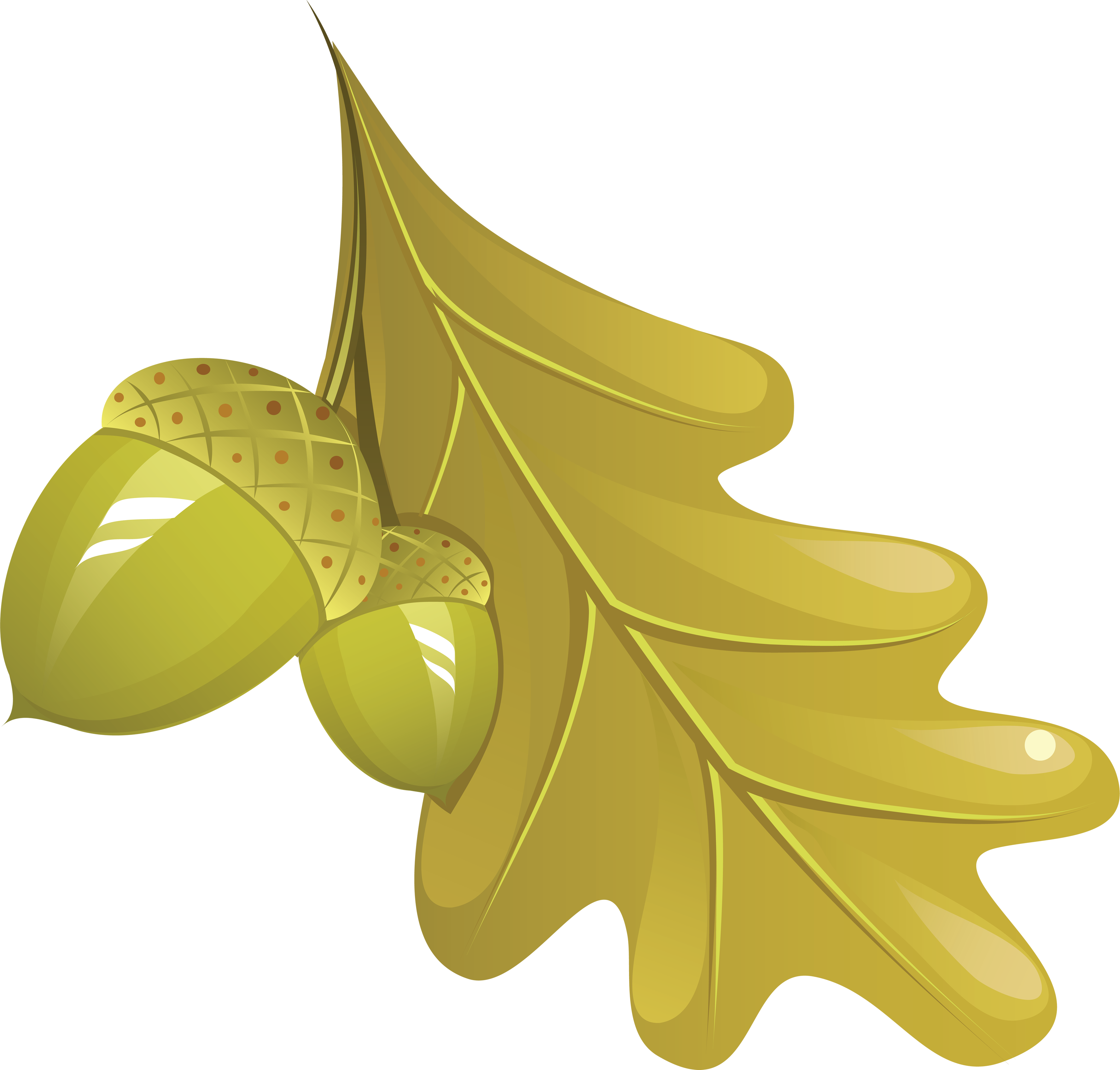 Autumn Png Leaf - Leaf (3552x3392)