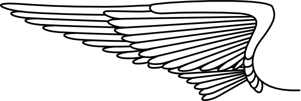Single Wing Clipart (600x202)