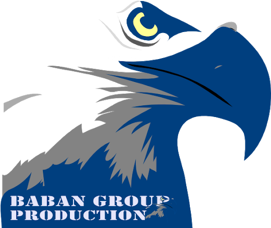 Bald Eagle Head Png (530x528)