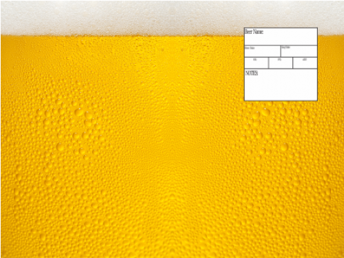 Beer (500x500)