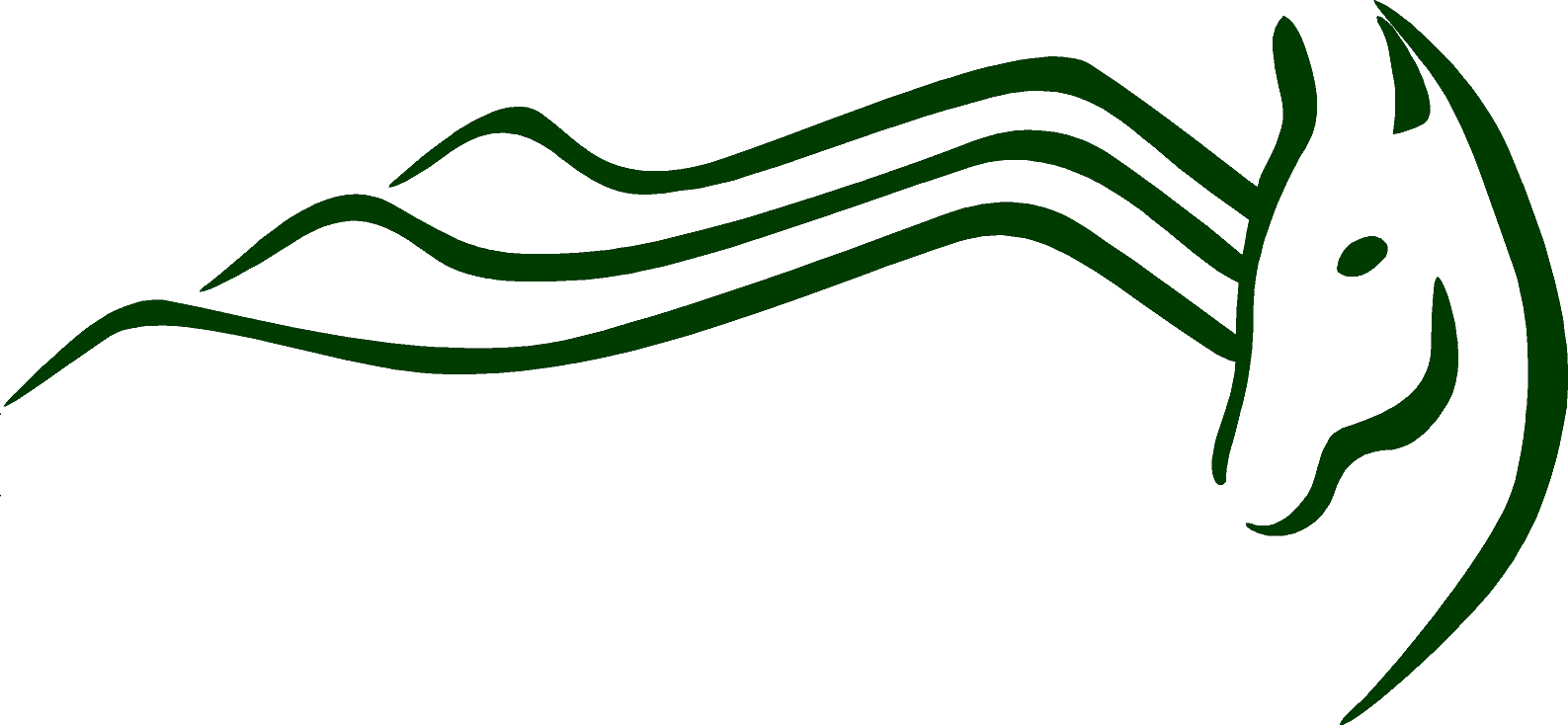 Landrum (1587x734)