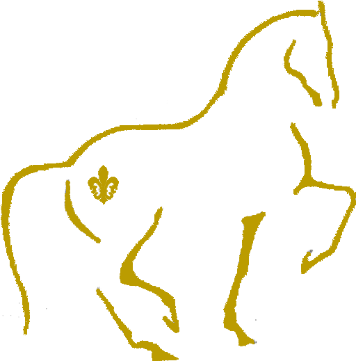 Exceed Your Expectations - County Saddlery (521x521)
