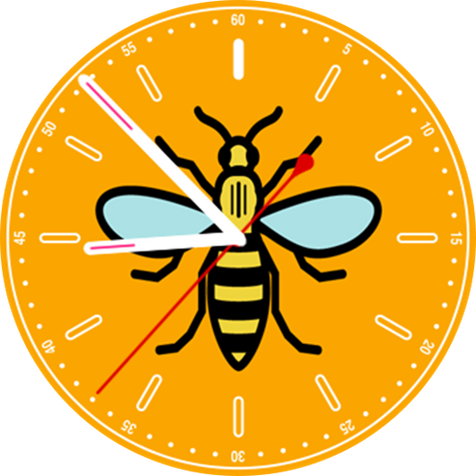Photo - Manchester Bee Drawing (530x530)