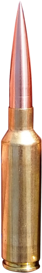 Bullets Png Image - Portable Network Graphics (500x610)