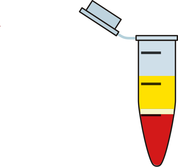 Clip Art (600x561)