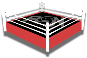 Wwe News (400x300)