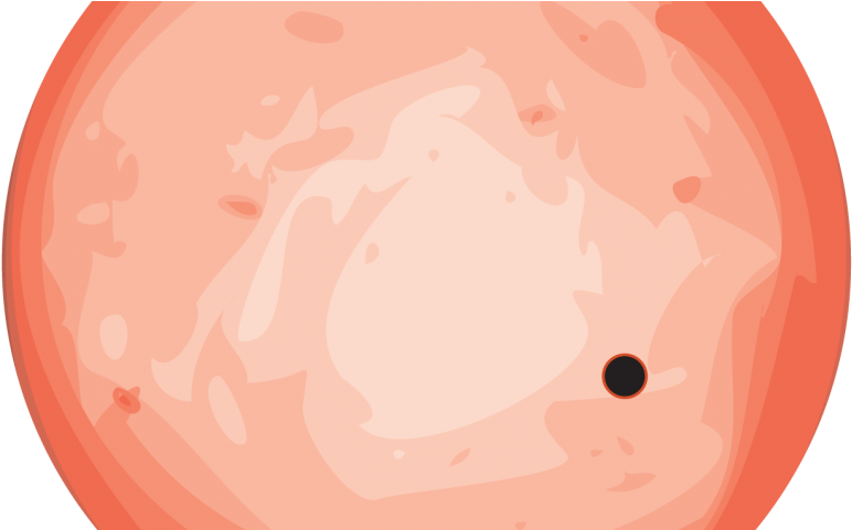 Circle (800x480)