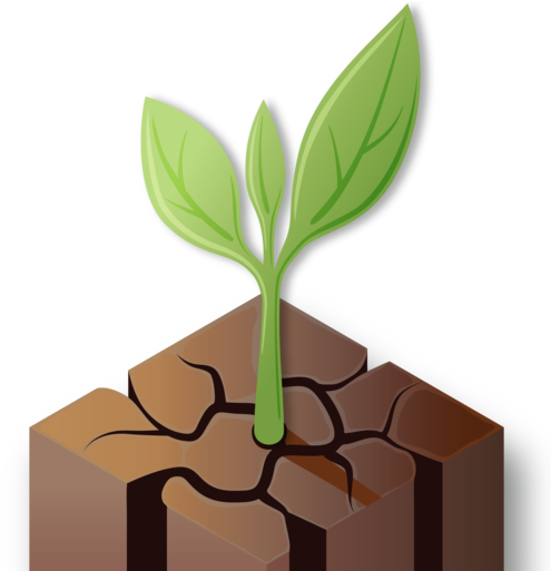 Illustration (512x512)