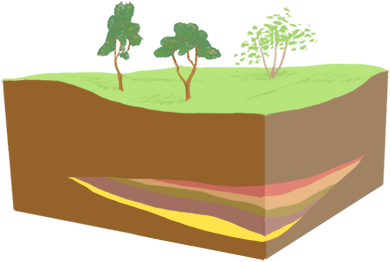Lens Type Orebody - Tree (480x360)
