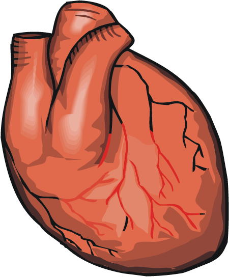Heart - Heart (450x544)