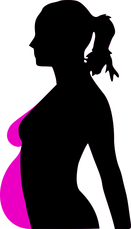 Medium Image - Pregnant Clip Art (458x800)