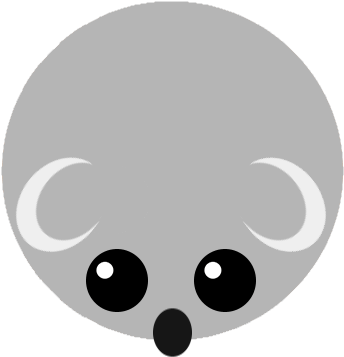Koala - Koala (500x500)