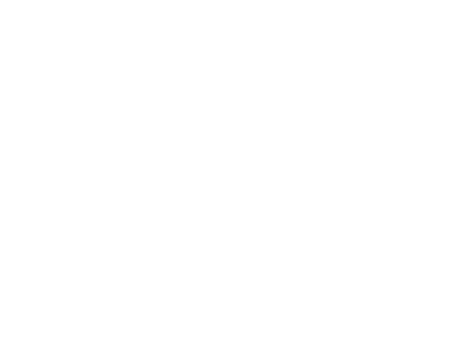1 - Shadow (462x346)