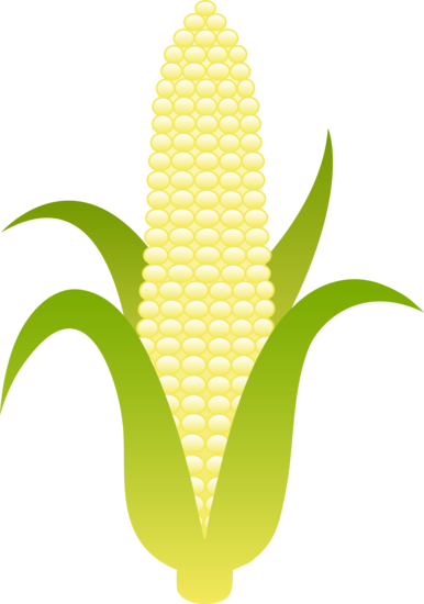 Corn Clipart - Corn Clip Art (386x550)