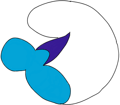 Hawkeye New Head Logo - Circle (415x360)