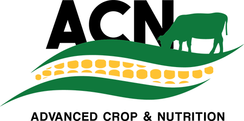 Clip Art (500x249)