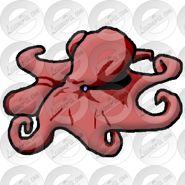 Octopus Picture - Octopus (380x380)