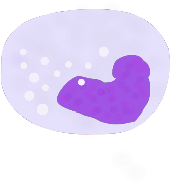 Monocyte Png (546x598)