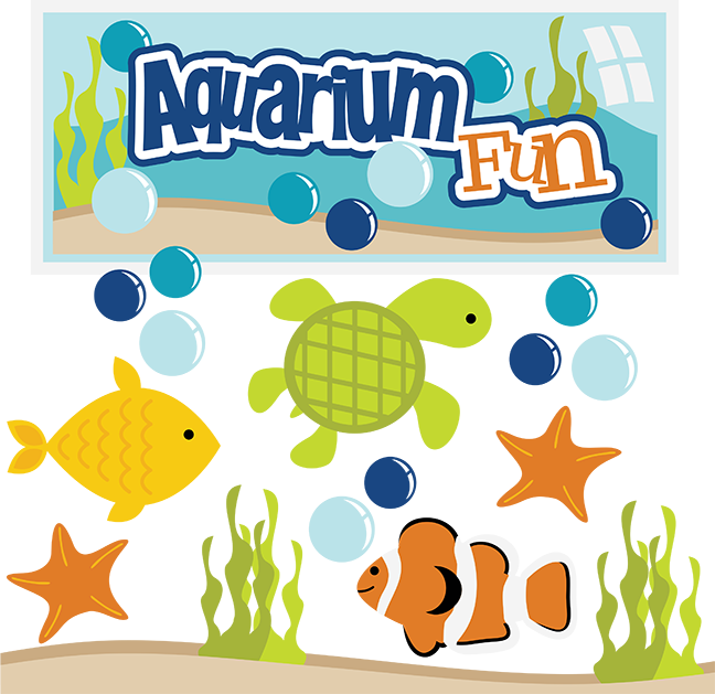 Fish Clipart Turtle - Clip Art (648x629)