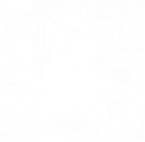Circle (491x491)