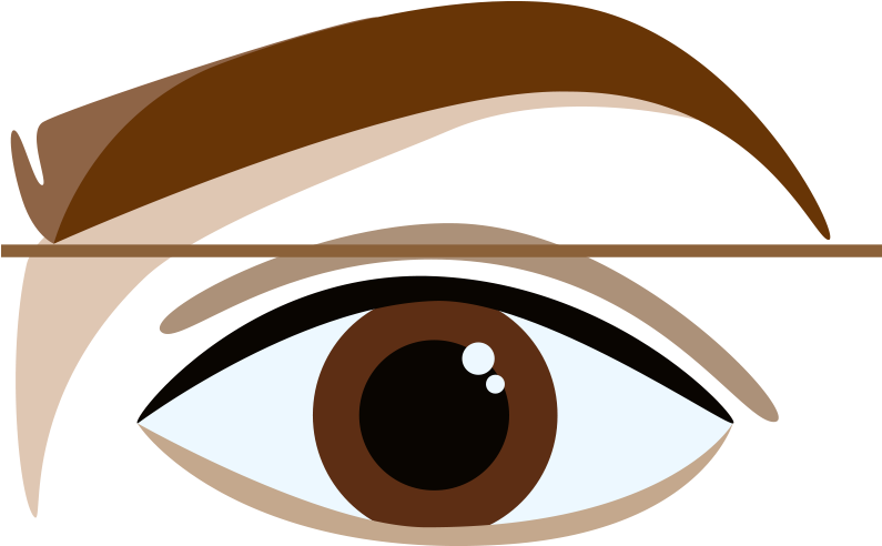Perfectly Shaped Eyebrows - Eyebrow (800x800)