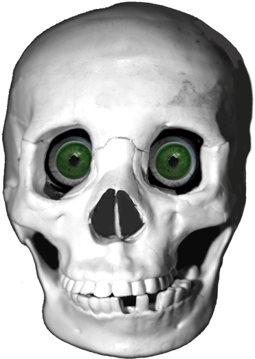 Skull Cool Png (459x532)