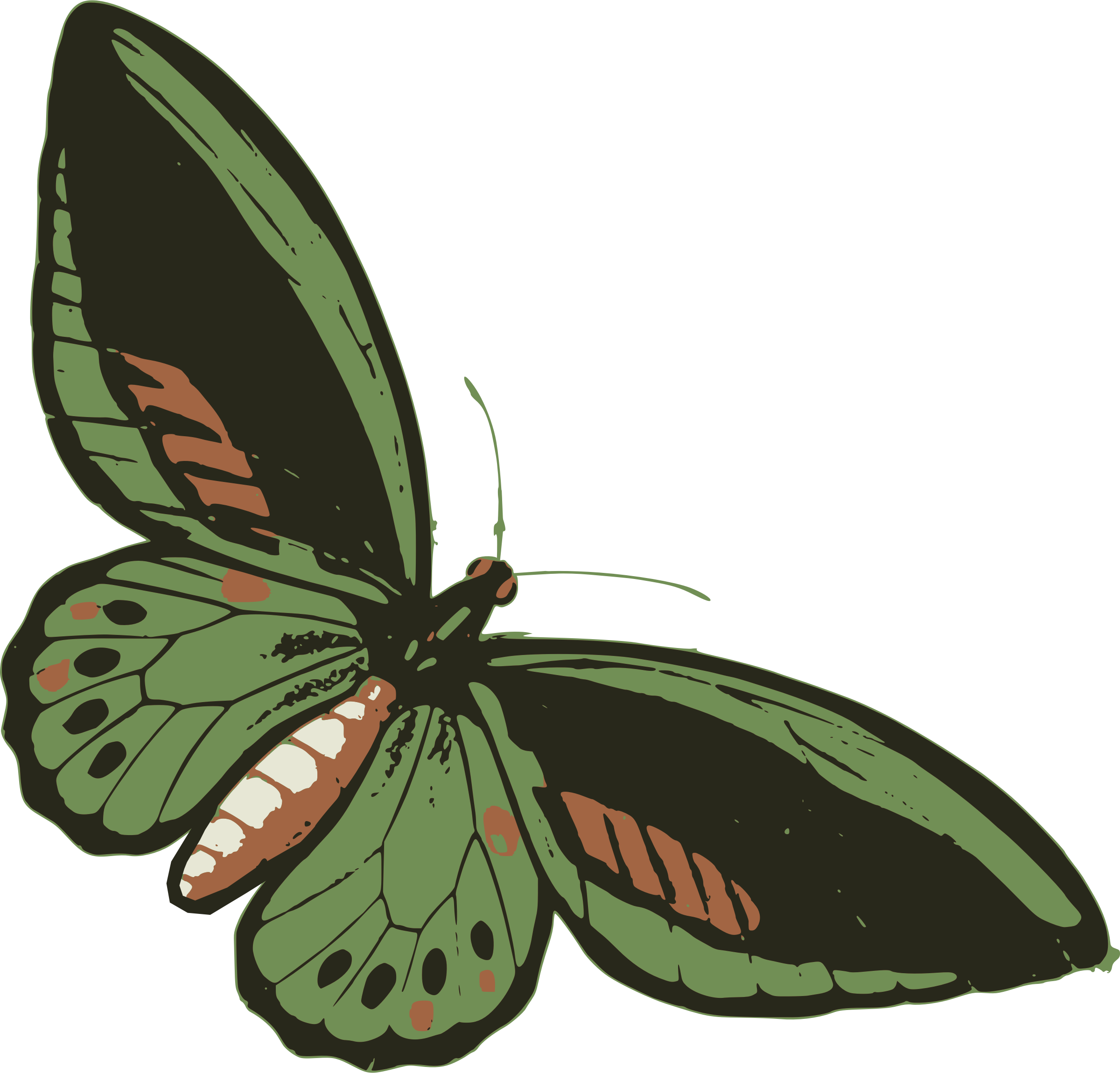 Green Butterfly - Cyaniris (2400x2300)