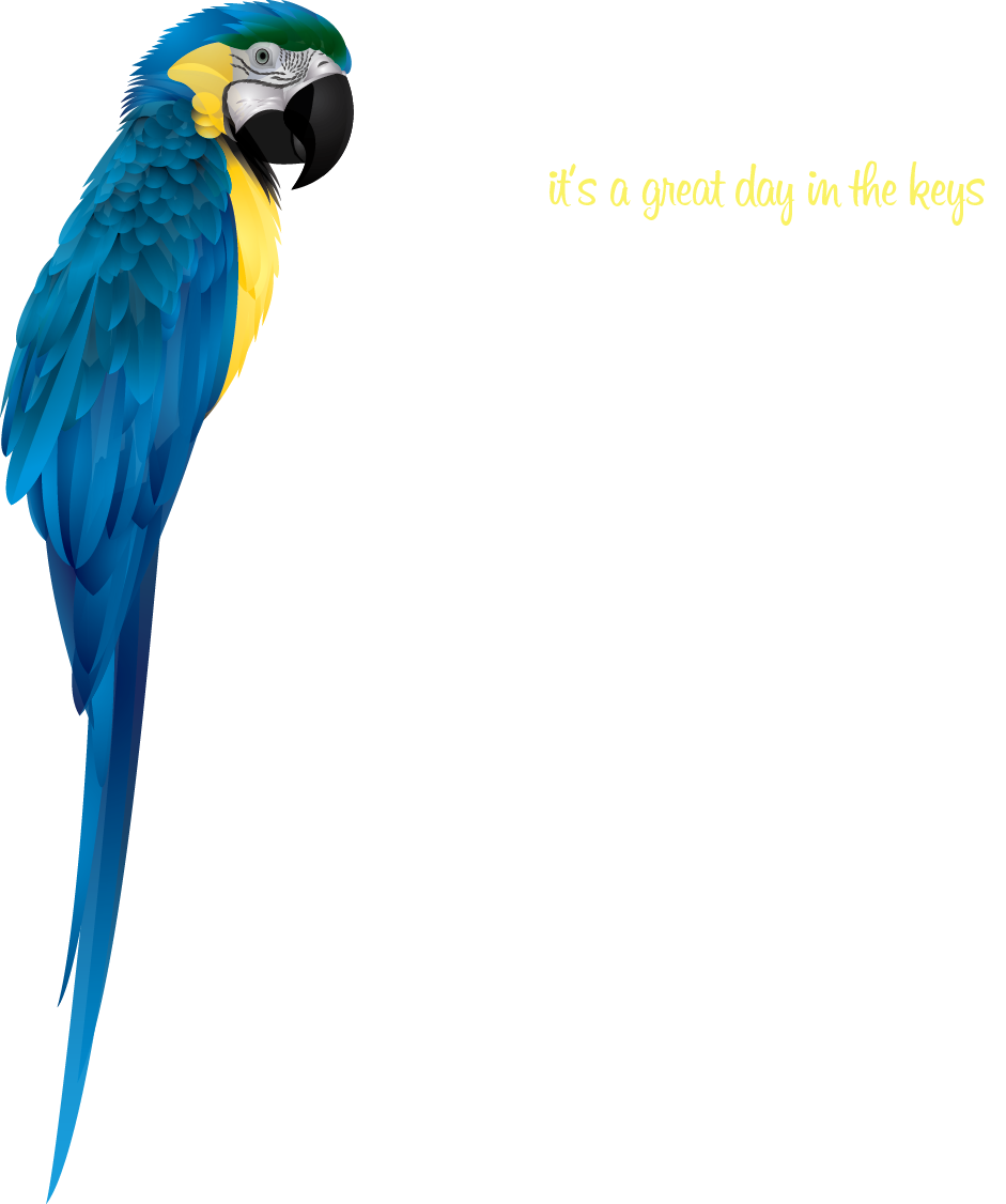 Macaw (941x1126)