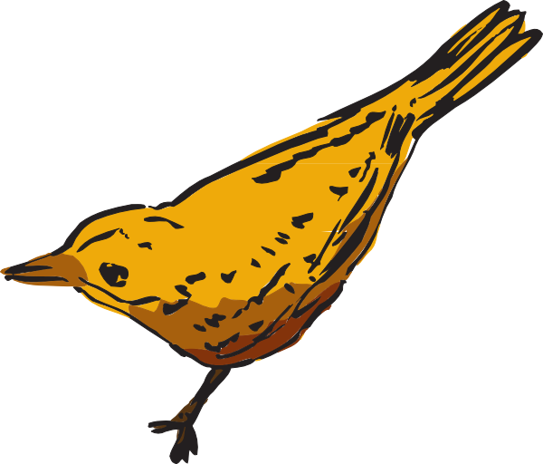 Bird (600x512)