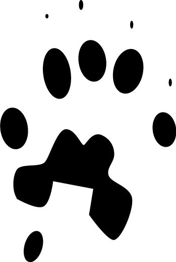 Front Track - Front Track (349x518)