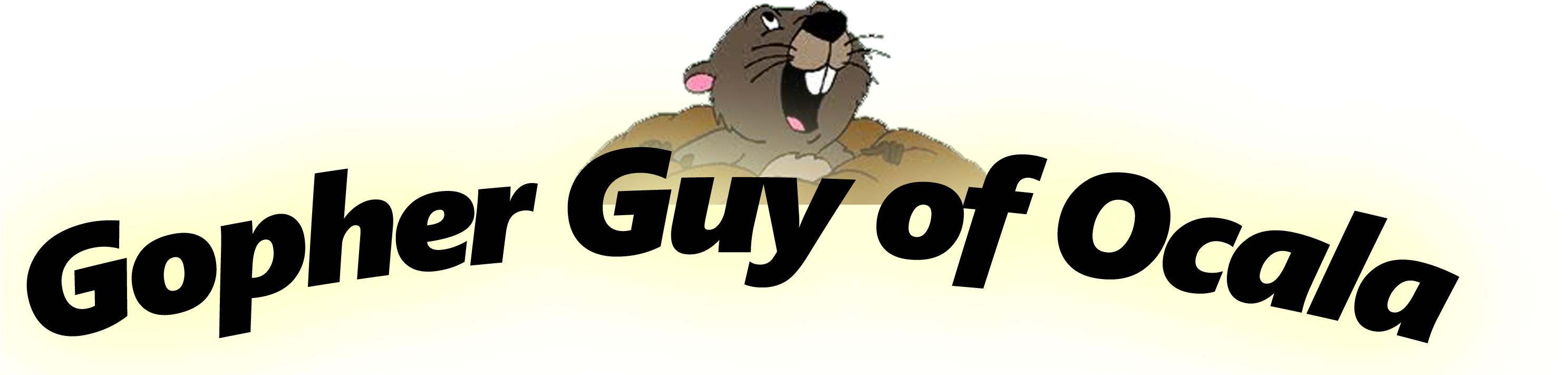 Gopher From Winnie The Pooh (3000x850)