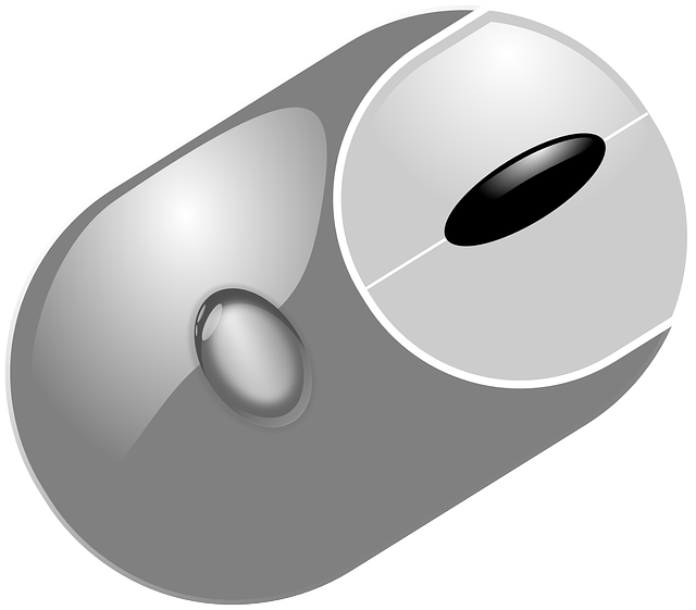 Computer, Mouse, Keyboard, Outline, Drawing, Silhouette - Computer Mouse Clipart (640x561)