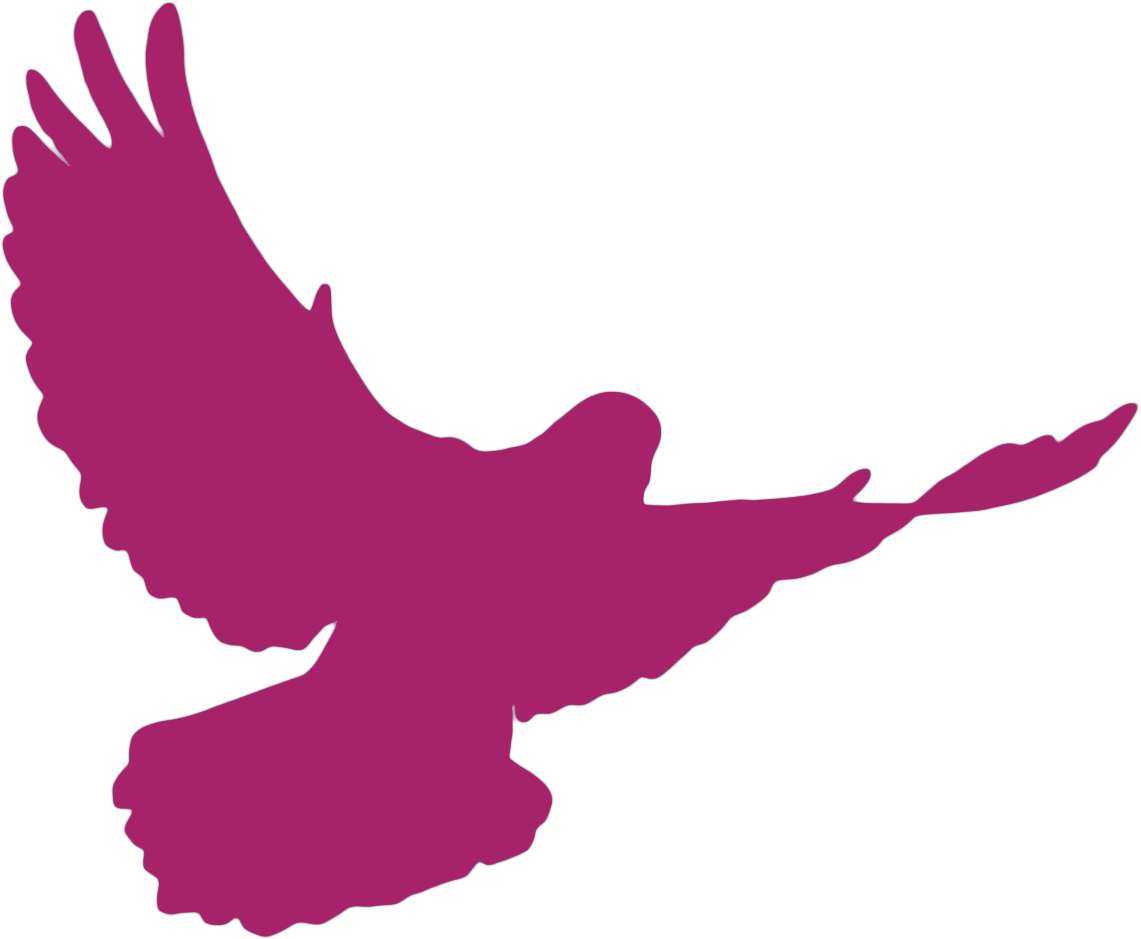 Dove In Flight Silhouette (1141x939)