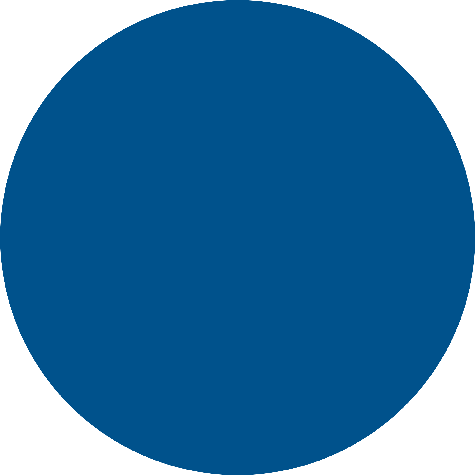 Vector Bullet Icon - Circle (2000x5200)