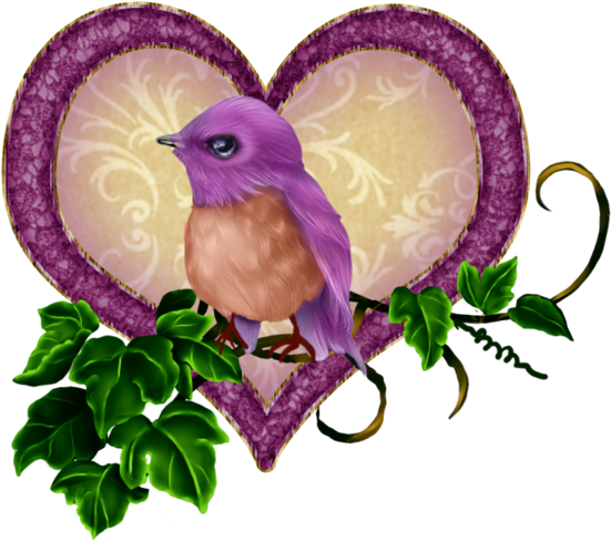 Oiseaux,birds - Illustration (600x544)