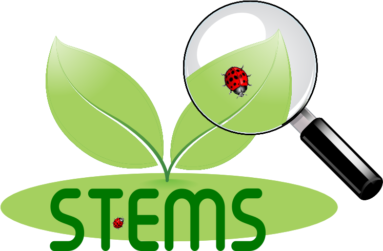 Stems - Plant Stem (758x489)
