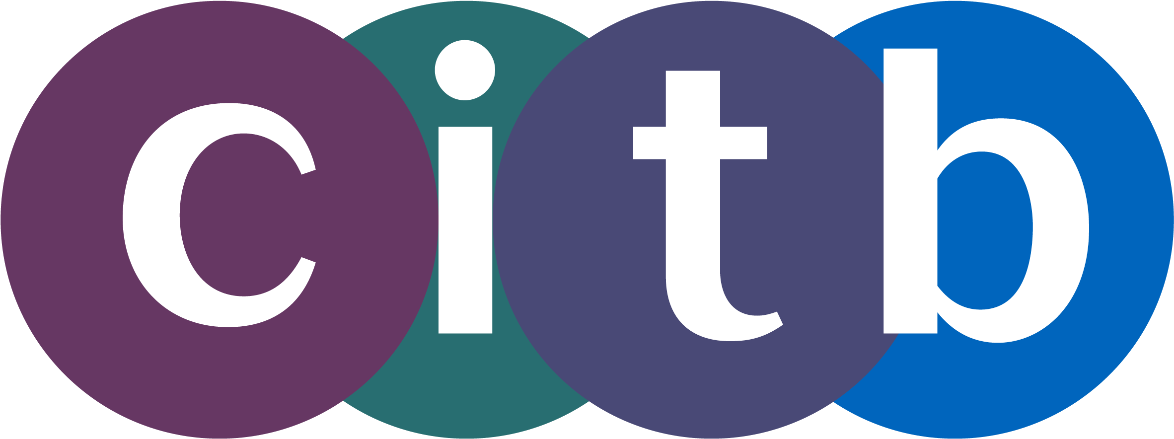 Citb Anti-slavery Programme - Citb Smsts (2404x925)