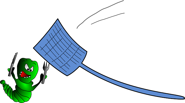 Free Vector Graphic - Fly Swatter And Fly (640x357)