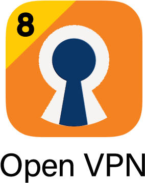 Top 10 Vpn Services - Circle (300x400)