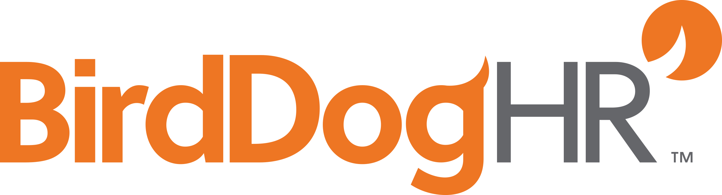 Birddoghr Logo (2400x648)