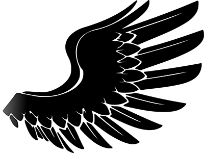 Right Wing Png (400x300)