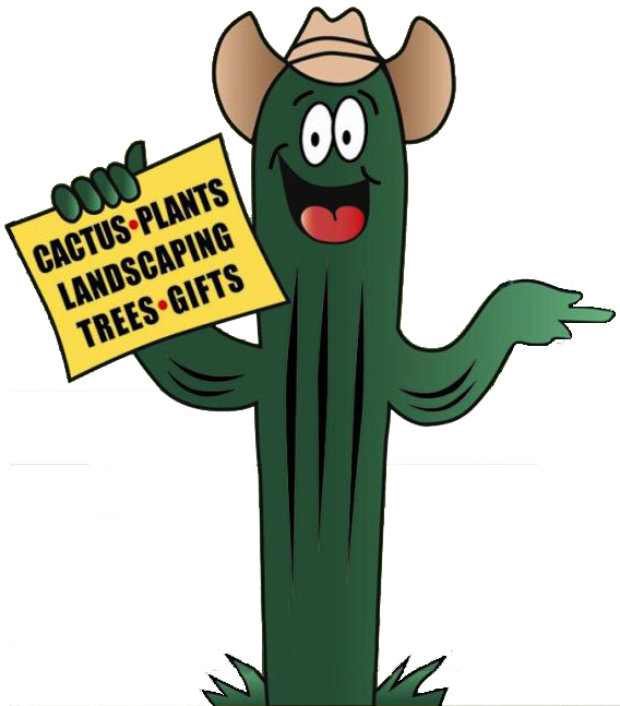Cave Creek Cactus - Cave Creek (568x647)