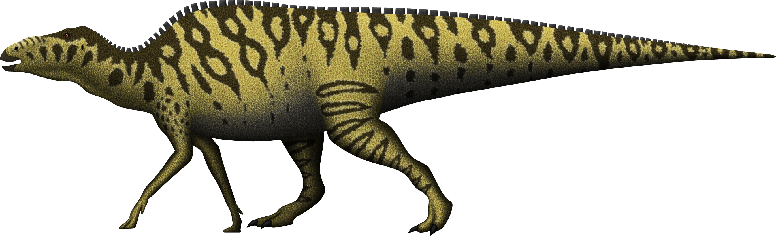 Previous Version - Shantungosaurus Png (2692x820)