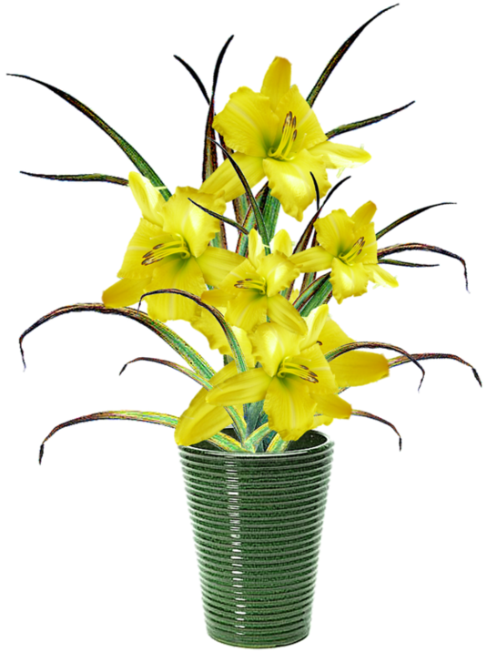 Fleurs - Page - Flower (600x766)