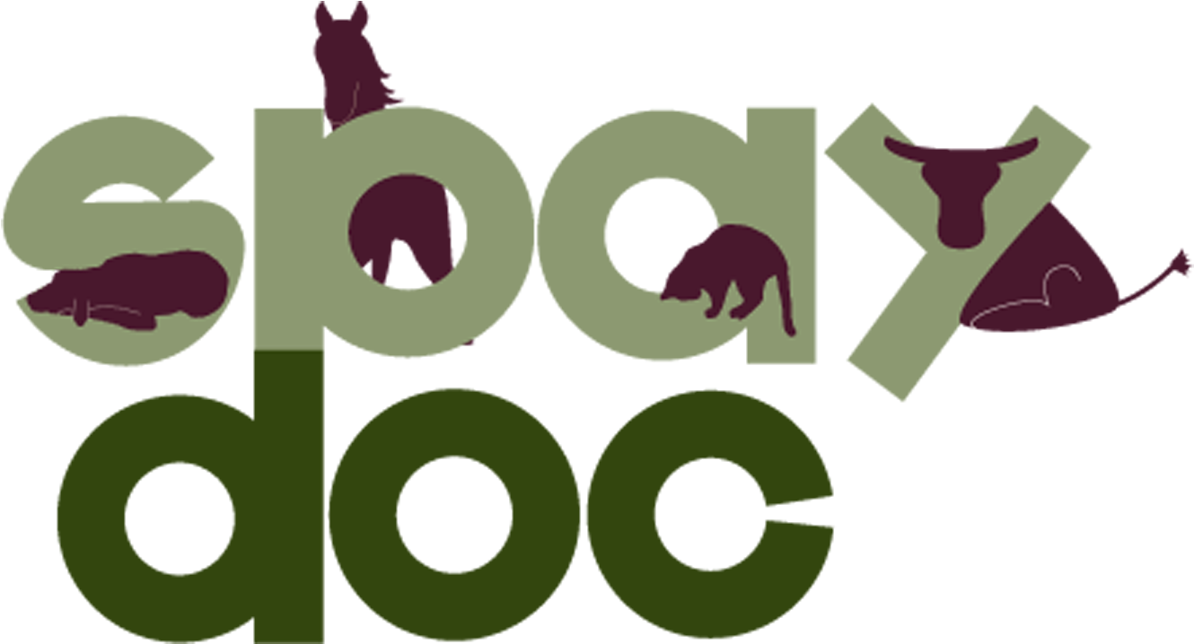 Logo - Logo (1368x741)