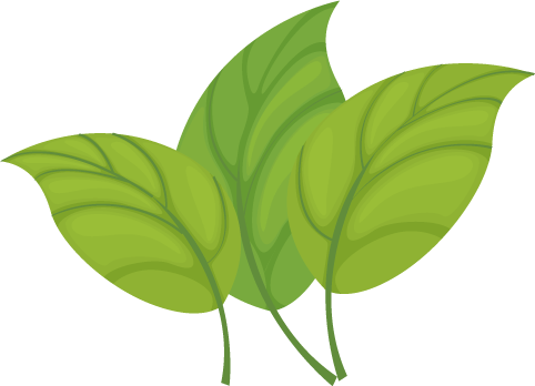 Illustration (482x348)